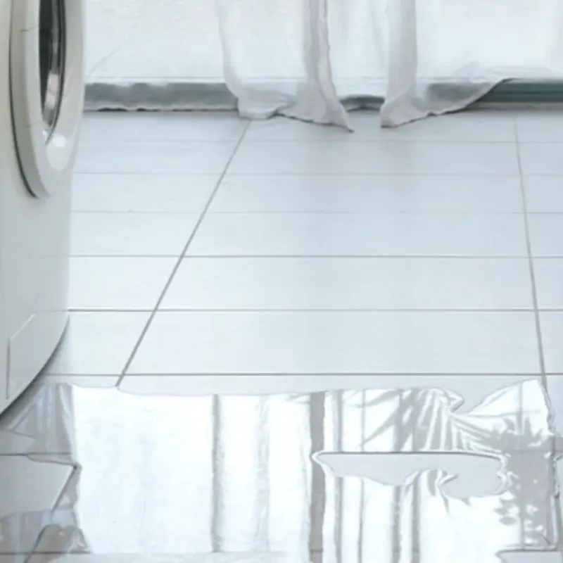Appliance Leak Cleanup in Mound City, IL
