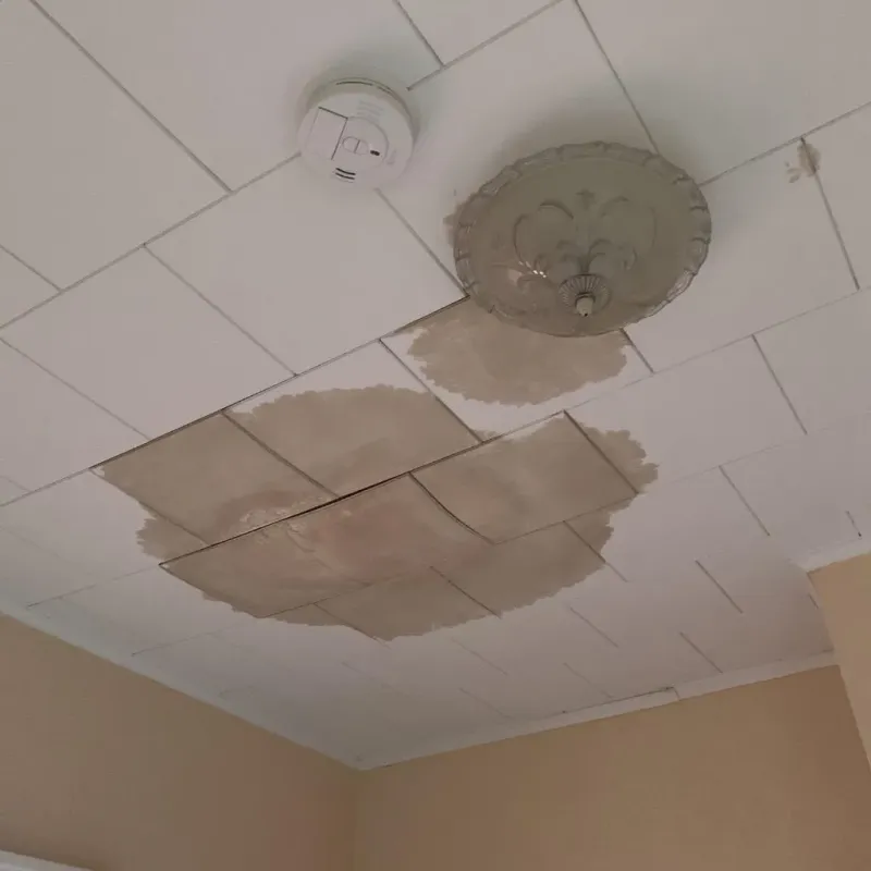 Ceiling Water Damage Repair in Mound City, IL