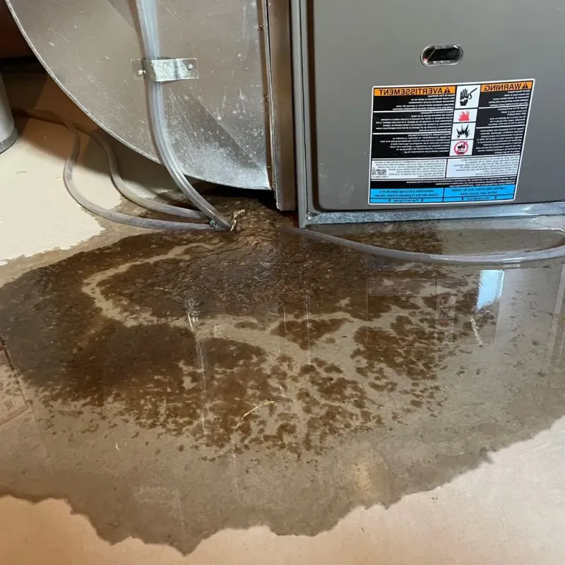 Pipe Burst and Leak Restoration in Mound City, IL