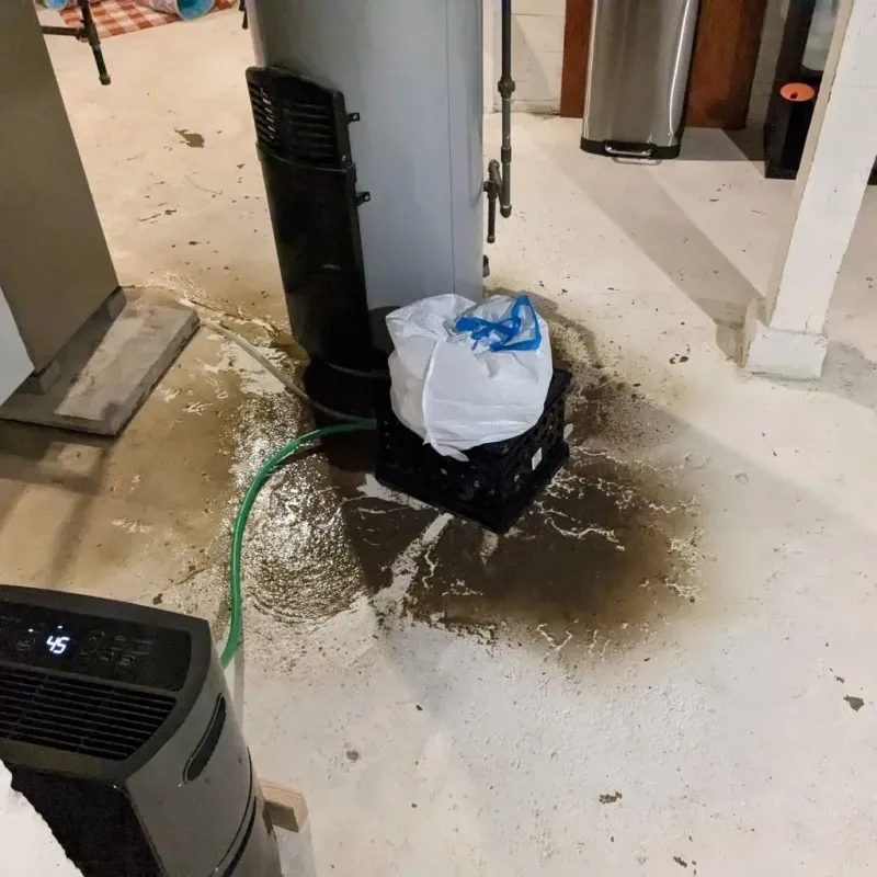 Sewage Backup Cleanup Service in Mound City, IL